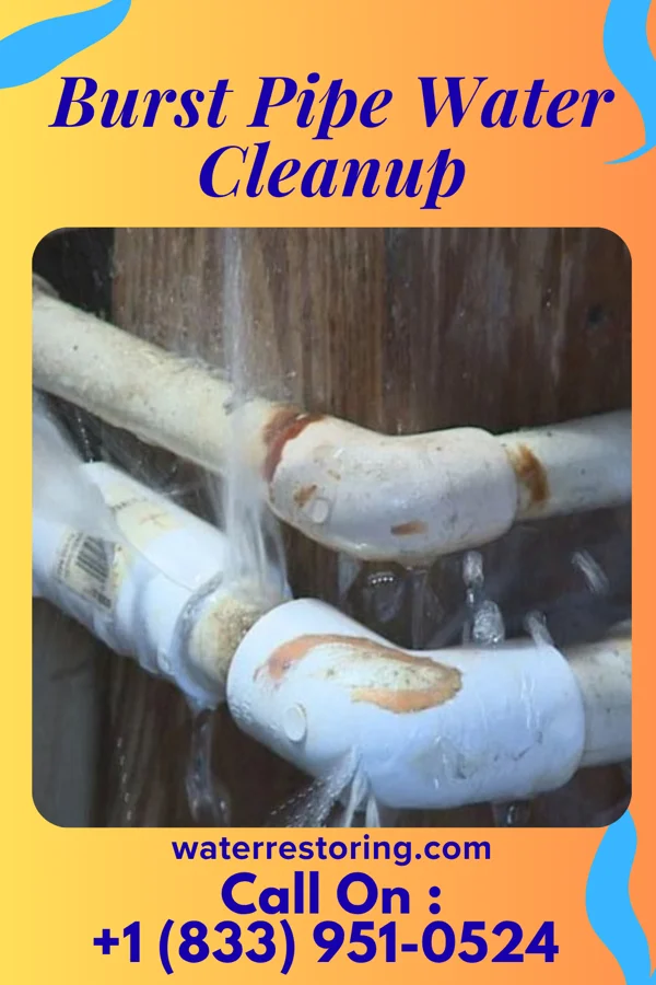 Burst Pipe Water Cleanup in Dry Creek, OK