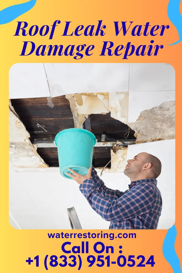 Roof Leak Water Damage Repair in Dry Creek, OK