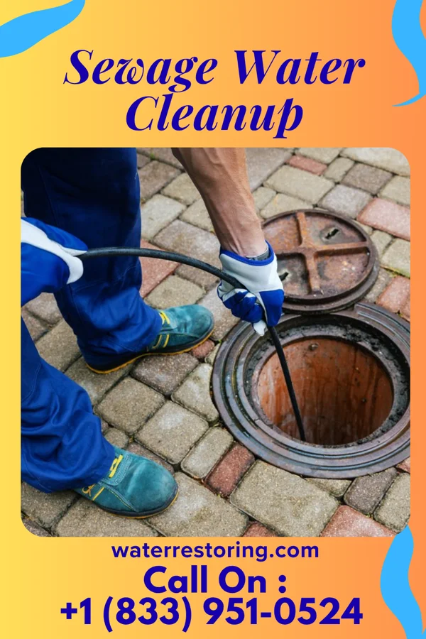 Sewage Water Cleanup in Dry Creek, OK